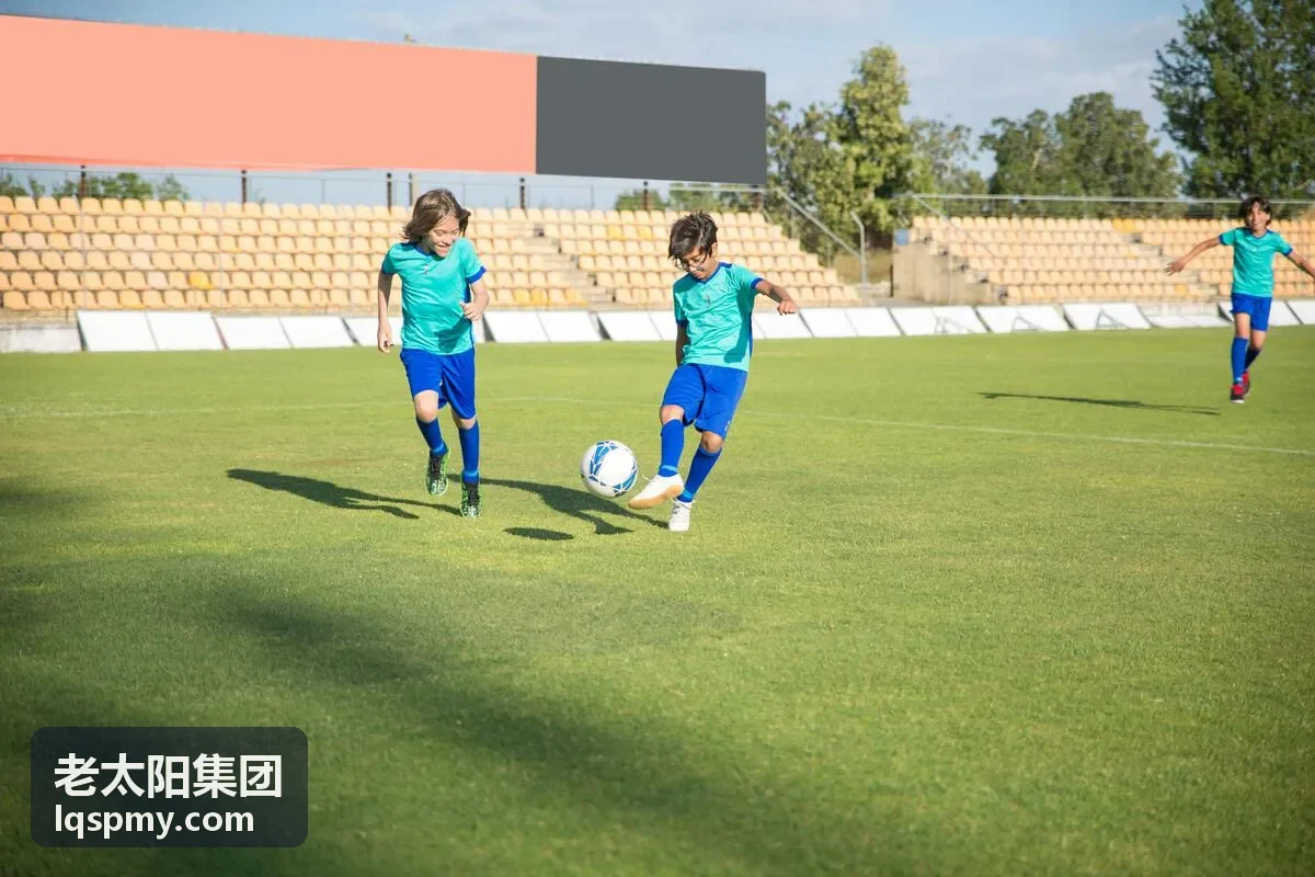 老太阳客户李总